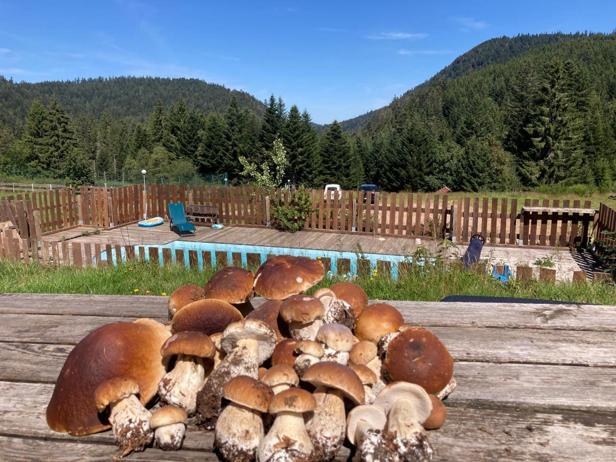 Le Perchoir Du Grand Valtin - Gite 9 Personnes - Altitude 830 Ban-sur-Meurthe-Clefcy Exterior foto