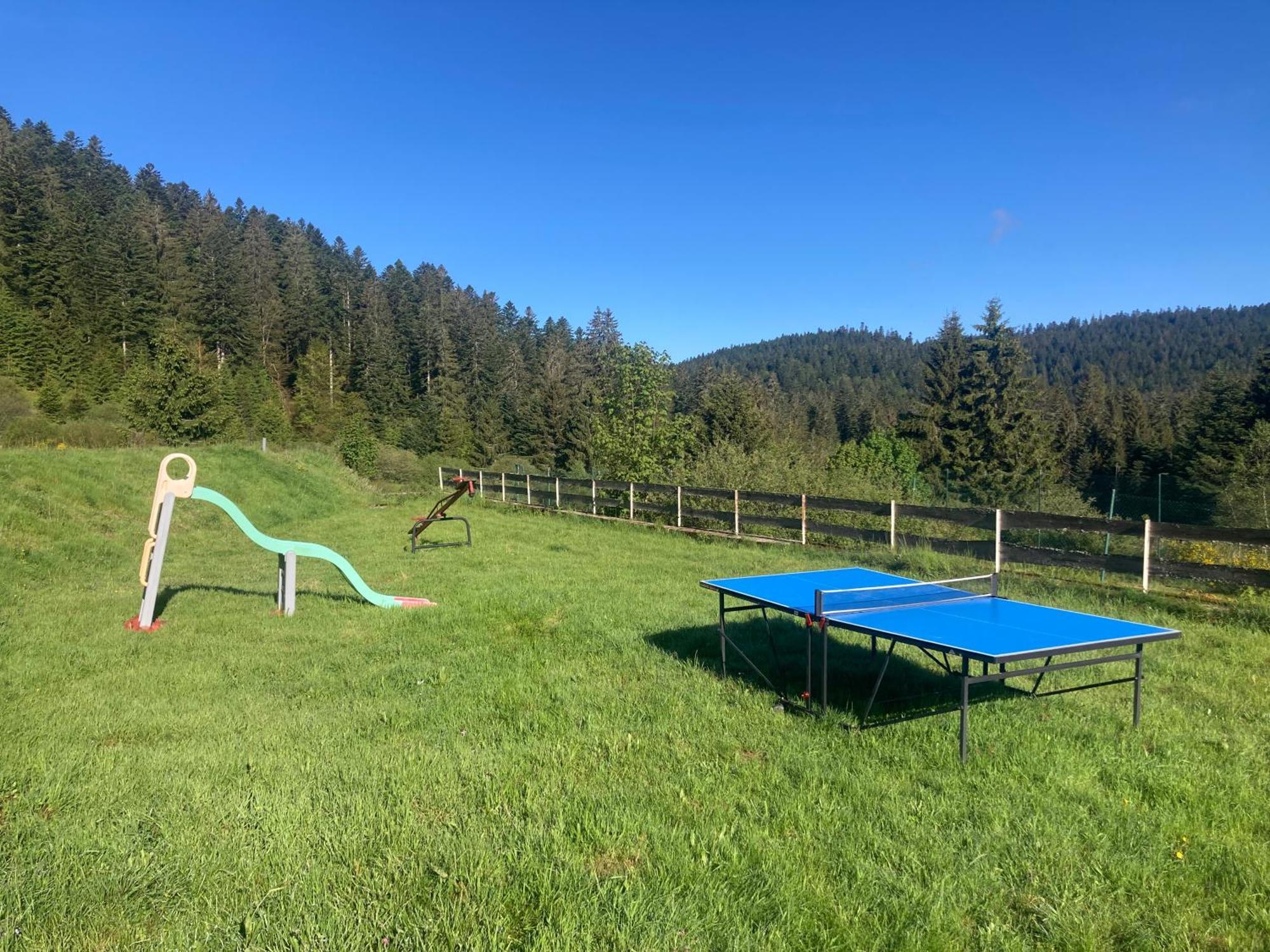 Le Perchoir Du Grand Valtin - Gite 9 Personnes - Altitude 830 Ban-sur-Meurthe-Clefcy Exterior foto