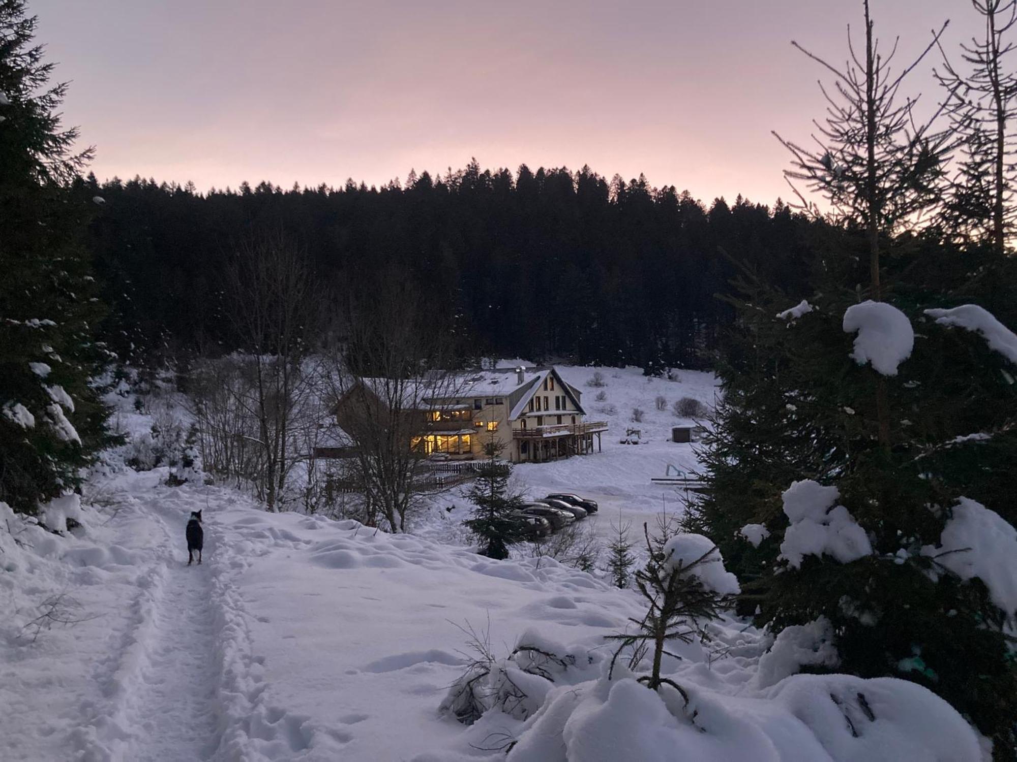 Le Perchoir Du Grand Valtin - Gite 9 Personnes - Altitude 830 Ban-sur-Meurthe-Clefcy Exterior foto